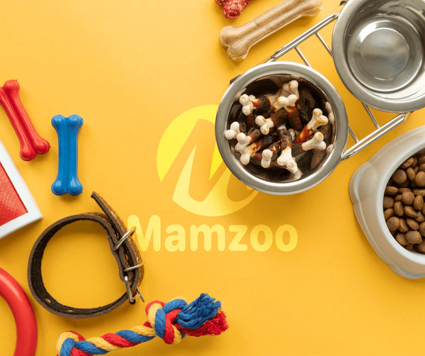 Explore Mamzoo Pet Supplies Store: Your Ultimate Destination for High-Quality Pet Products