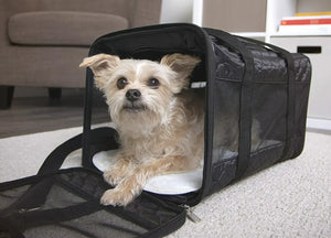 Find the Perfect Pet Carrier for Every Journey: Discover a wide variety of pet carriers for dogs, cats, small animals, and more. Mamzoo Pet Supplies Store: relevant pet carrier collection.