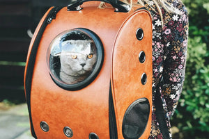 Stress-Free Cat Travel with Mamzoo's Airline Approved Cat Backpacks.  Our selection of cat backpacks features airline-approved designs for worry-free pet transportation. Mamzoo Pet Supplies Store.