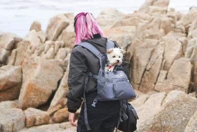 Bond with Your Pet Backpack Carriers and Explore Mamzoo Pet Store Best Pet Carrier Backpacks