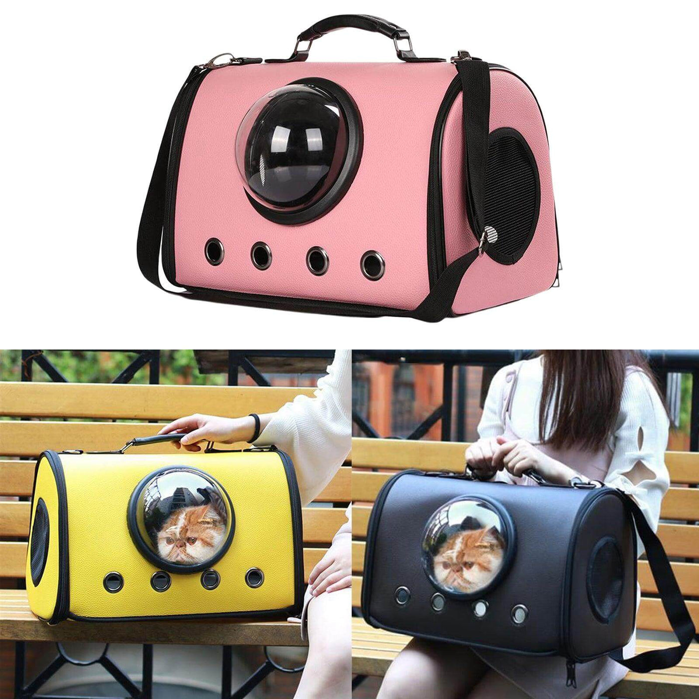 pet carrier for small dogs, cats puppies - Mamzoo | Your Pet's Favorite Store