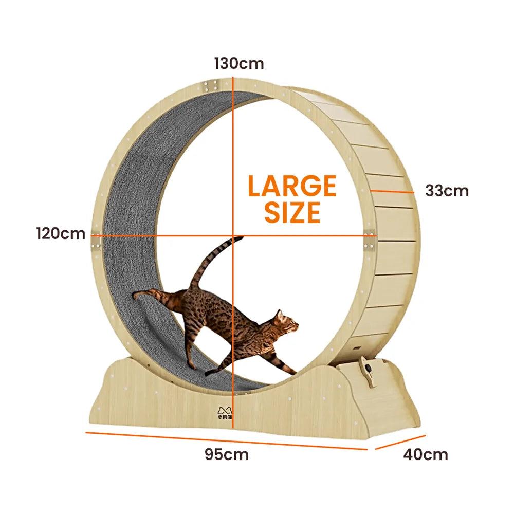 One Fast Cat Exercise Wheel - Mamzoo | Your Pet's Favorite Store