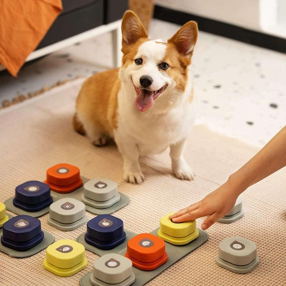 Interactive Pet Vocal Buttons for Training - Mamzoo | Your Pet's Favorite Store