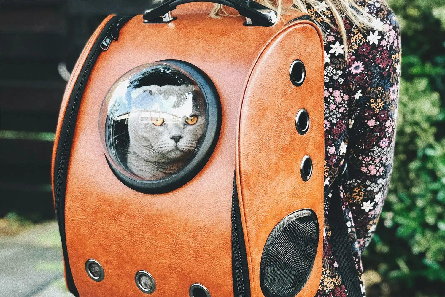 Cat Backpack - Mamzoo | Your Pet's Favorite Store