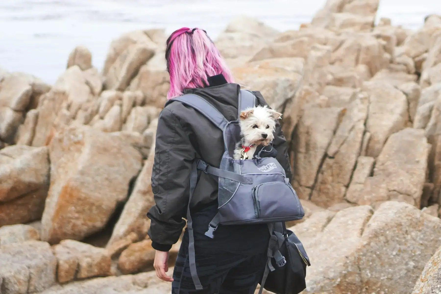 Pet Backpack - Mamzoo | Your Pet's Favorite Store