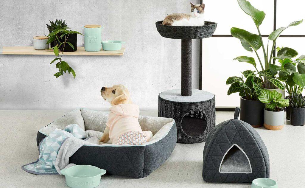 PET ACCESSORIES - Mamzoo | Your Pet's Favorite Store