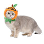 Curly Hair Pet Hat Cat Funny Dress Up Pet Products - Mamzoo | Your Pet's Favorite Store