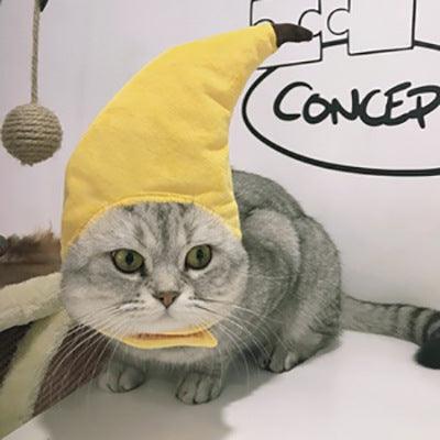 Curly Hair Pet Hat Cat Funny Dress Up Pet Products - Mamzoo | Your Pet's Favorite Store