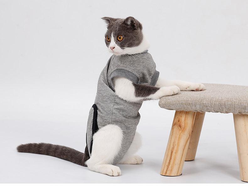 Pet Recovery Suit - Anti-Mite Sterilization Clothing for Cats - Mamzoo | Your Pet's Favorite Store