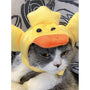 Curly Hair Pet Hat Cat Funny Dress Up Pet Products - Mamzoo | Your Pet's Favorite Store