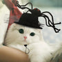 Curly Hair Pet Hat Cat Funny Dress Up Pet Products - Mamzoo | Your Pet's Favorite Store