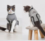 Pet Recovery Suit - Anti-Mite Sterilization Clothing for Cats - Mamzoo | Your Pet's Favorite Store