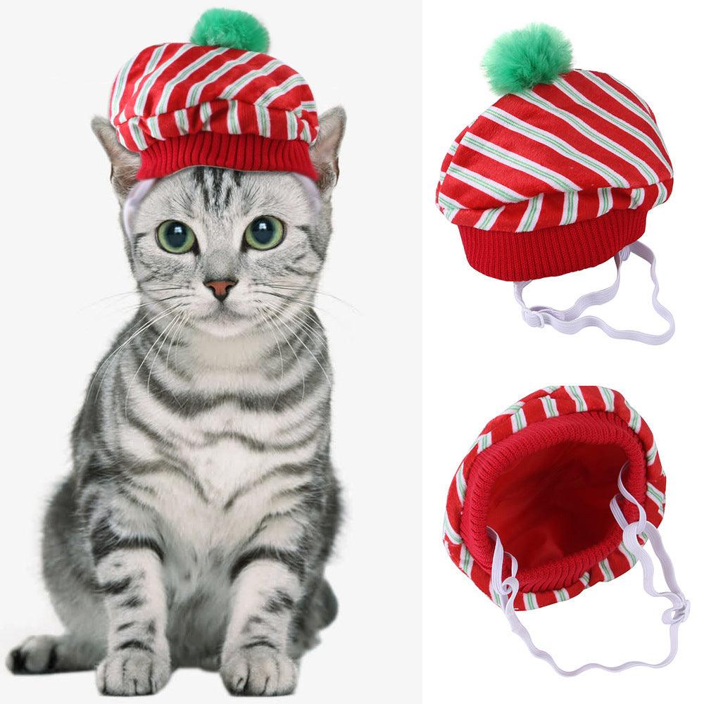 Curly Hair Pet Hat Cat Funny Dress Up Pet Products - Mamzoo | Your Pet's Favorite Store