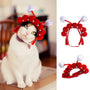 Curly Hair Pet Hat Cat Funny Dress Up Pet Products - Mamzoo | Your Pet's Favorite Store