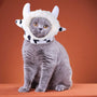 Curly Hair Pet Hat Cat Funny Dress Up Pet Products - Mamzoo | Your Pet's Favorite Store