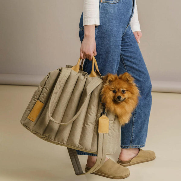 Pet Dog Cat Bag Carrier - Stylish & Waterproof Handbag