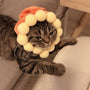 Curly Hair Pet Hat Cat Funny Dress Up Pet Products - Mamzoo | Your Pet's Favorite Store