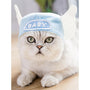 Curly Hair Pet Hat Cat Funny Dress Up Pet Products - Mamzoo | Your Pet's Favorite Store