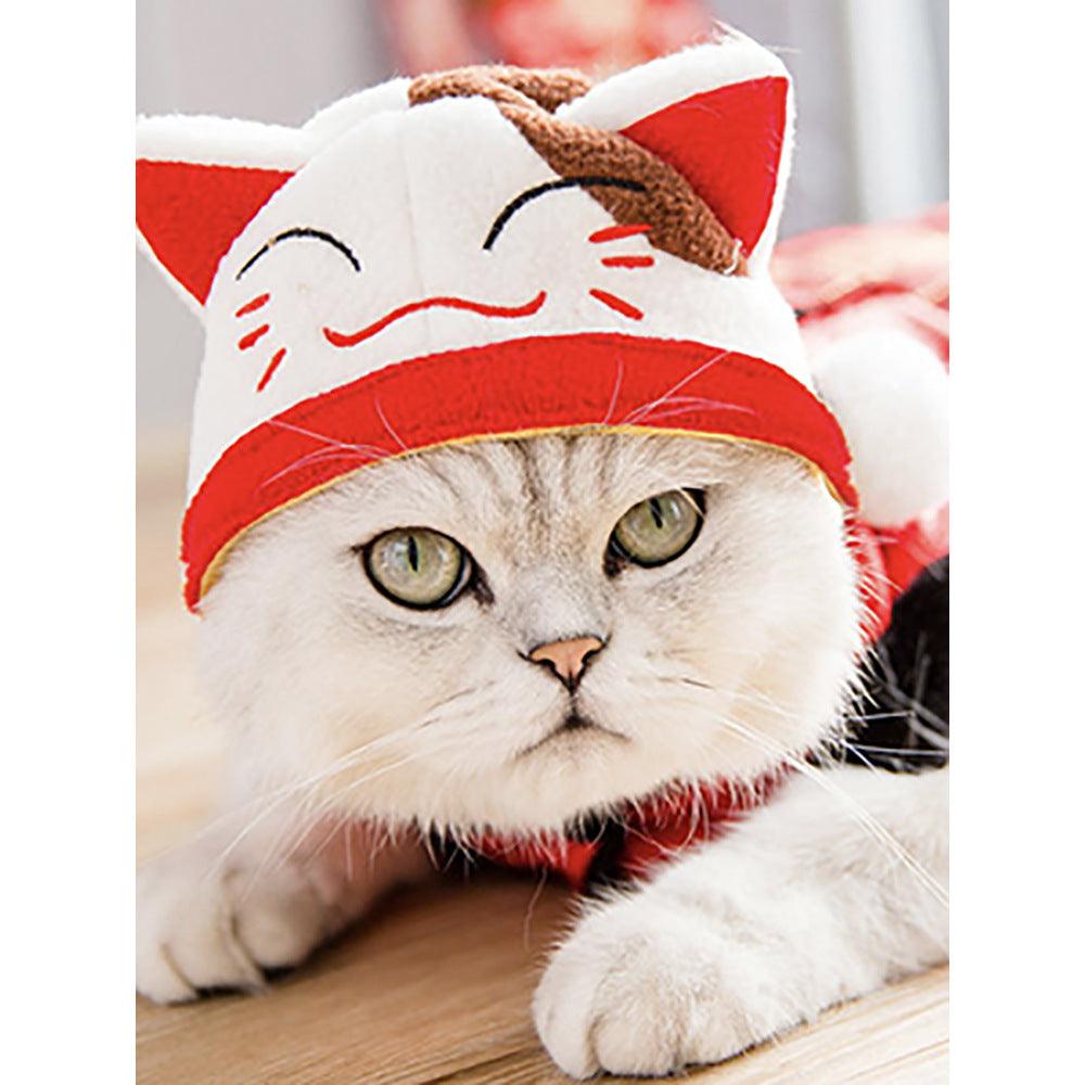 Curly Hair Pet Hat Cat Funny Dress Up Pet Products - Mamzoo | Your Pet's Favorite Store