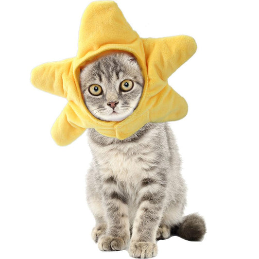 Curly Hair Pet Hat Cat Funny Dress Up Pet Products - Mamzoo | Your Pet's Favorite Store