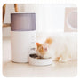 2.5L WiFi Smart Automatic Pet Feeder – Hassle-Free Feeding - Mamzoo | Your Pet's Favorite Store