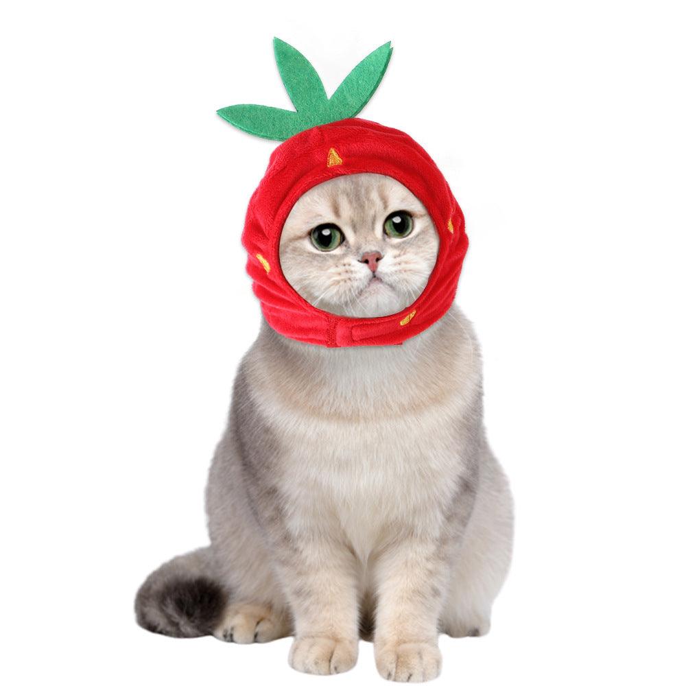 Curly Hair Pet Hat Cat Funny Dress Up Pet Products - Mamzoo | Your Pet's Favorite Store