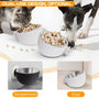 Magnetic Pet Bowl Cat Feeder Dog Foodbowl Pet Products - Mamzoo | Your Pet's Favorite Store